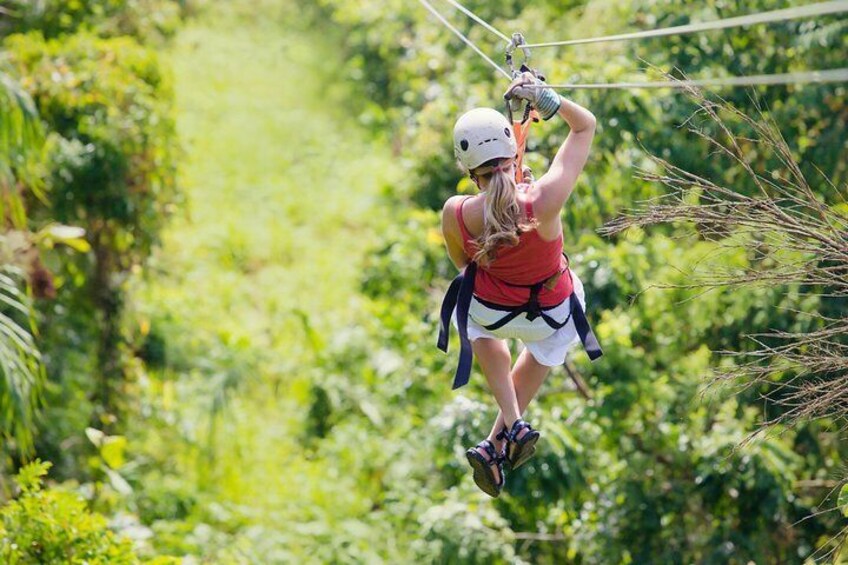 Zipline Canopy Tour & Tortuguero Canal Shore Excursion from Puerto Limon Costa Rica by Greenway Nature Tours
