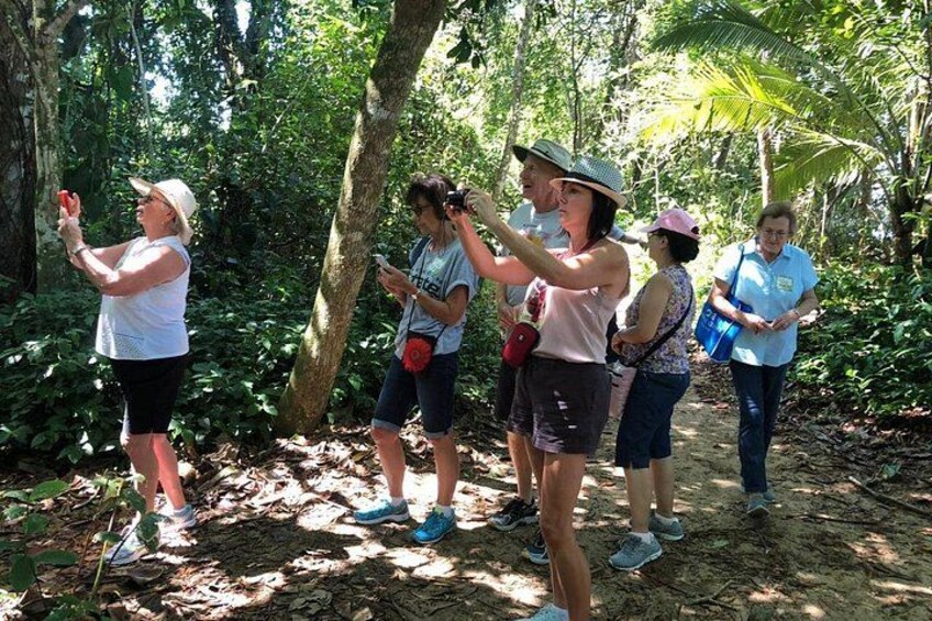 Nature History Tour. Tortuguero Canal and Cahuita National Park Walk. Shore Excursion from Puerto Limon 2