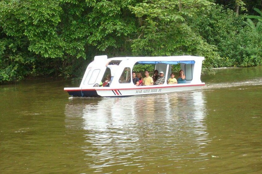 Sloths Lovers Tour. Shore Excursion from Limon Costa Rica 4