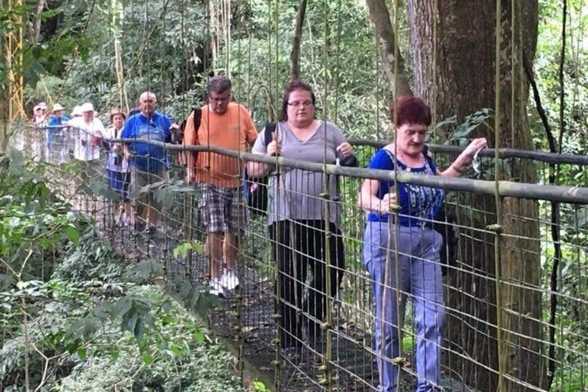 Rainforest Skywalk and Tarcoles River Eco Cruise Tour Shore Excursion By Greenway Tours