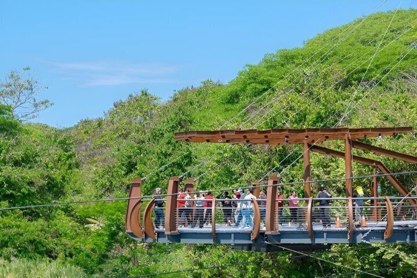 A pedestrian bridge with a wooden structure and metal railings, surrounded by greenery. 2