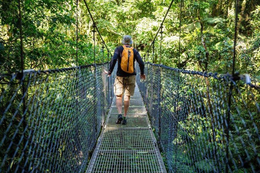 A person walking on a suspension bridge surrounded by dense forest. 3