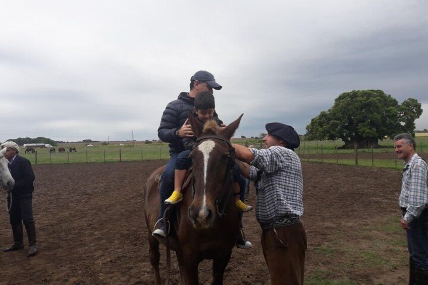 Private Day Tour To A Traditional Estancia