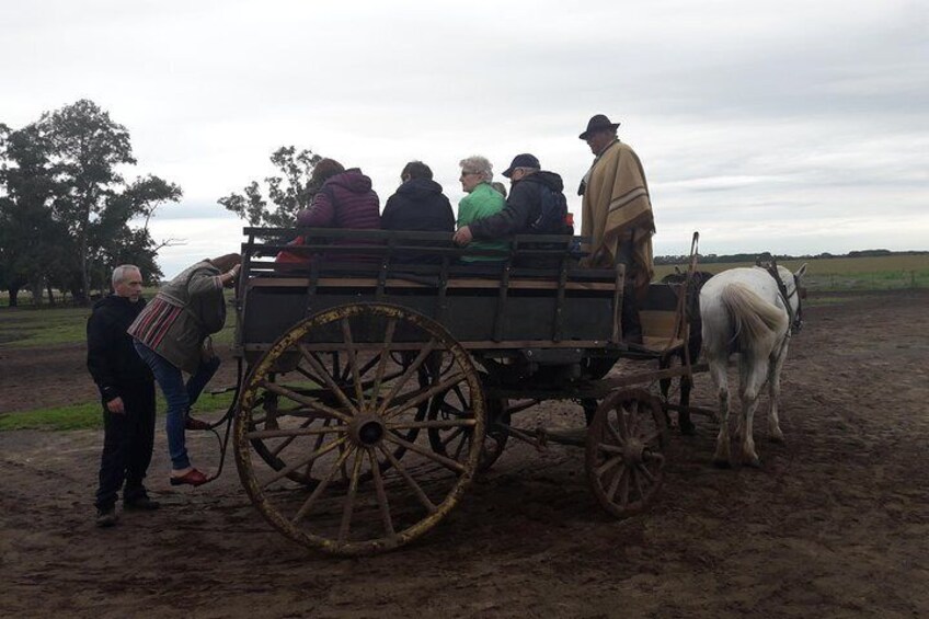 Private Day Tour To A Traditional Estancia