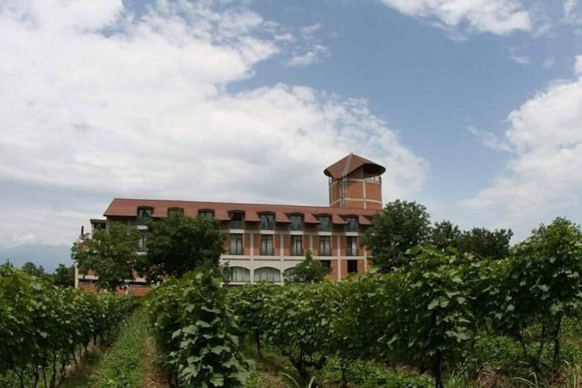 A large building with a tower, surrounded by vineyards. 5