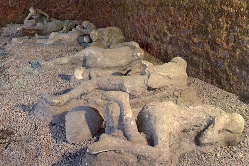 Una colección de grandes huesos fosilizados de dinosaurio incrustados en terreno rocoso. 3
