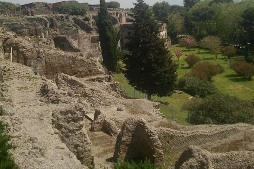 Ancient ruins with stone structures and a large tree in a landscaped area. 5