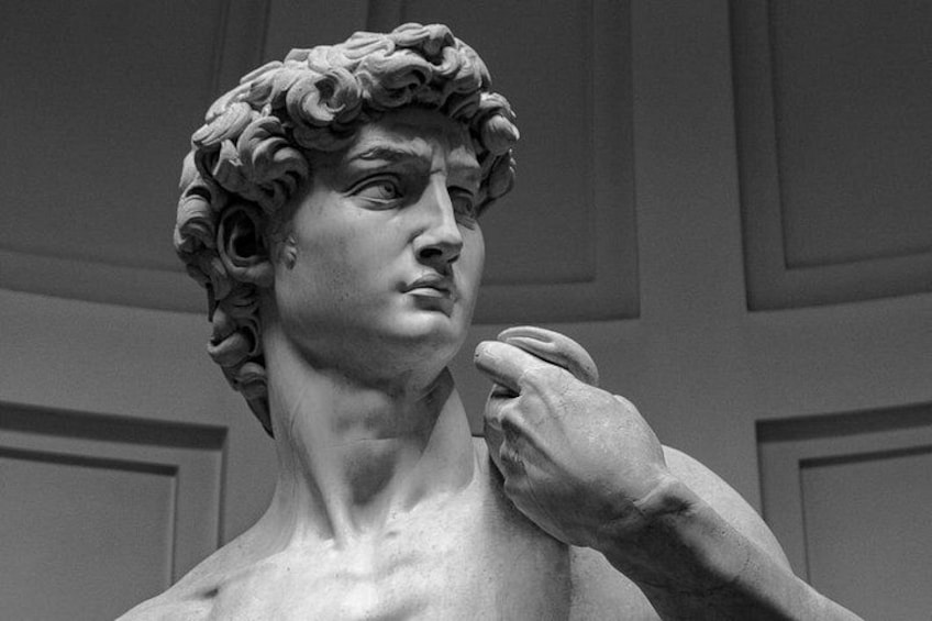Skip the line entrance to see the original David 5