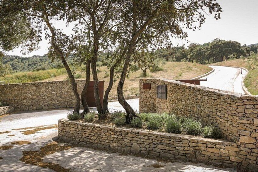 A stone wall with a wooden gate, trees, and a winding road in a rural landscape. 4