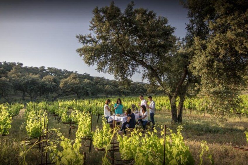 wine tour marbella 1