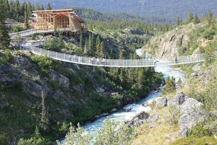 Half Day Yukon Suspension Bridge & Summit Tour 3