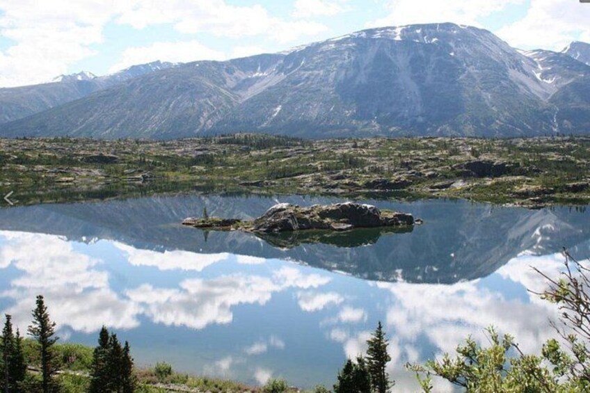 Half Day Yukon Suspension Bridge & Summit Tour 5