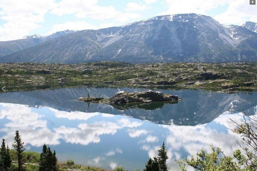 Skagway Shore Excursion: Yukon Dog Sledding and Sightseeing Tour 3