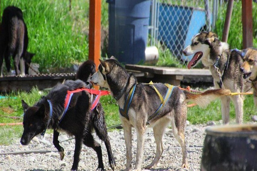 Ready to run 3