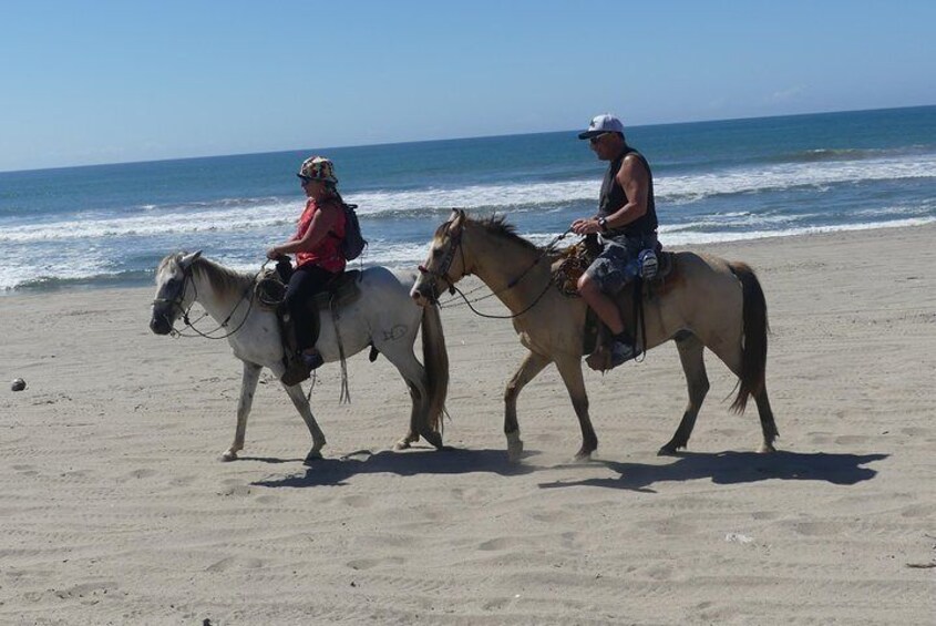 .Country Experience Boat Ride Beach-Horseback Ride Turtle release-Crocs & Lunch