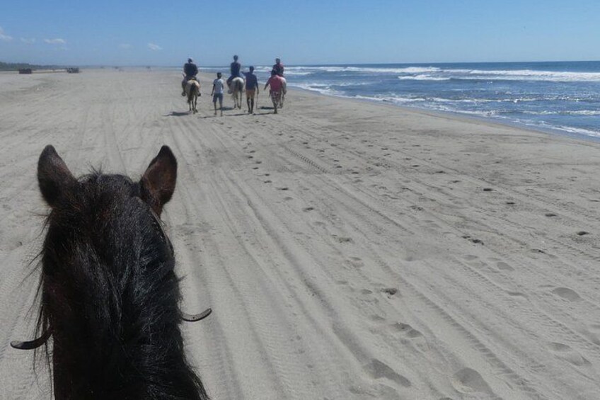 A beach with a horse and riders in the distance. 1
