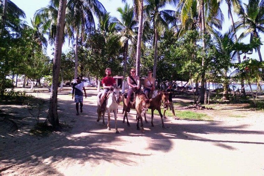 People riding horses on a dirt path with palm trees and a beach in the background. 2