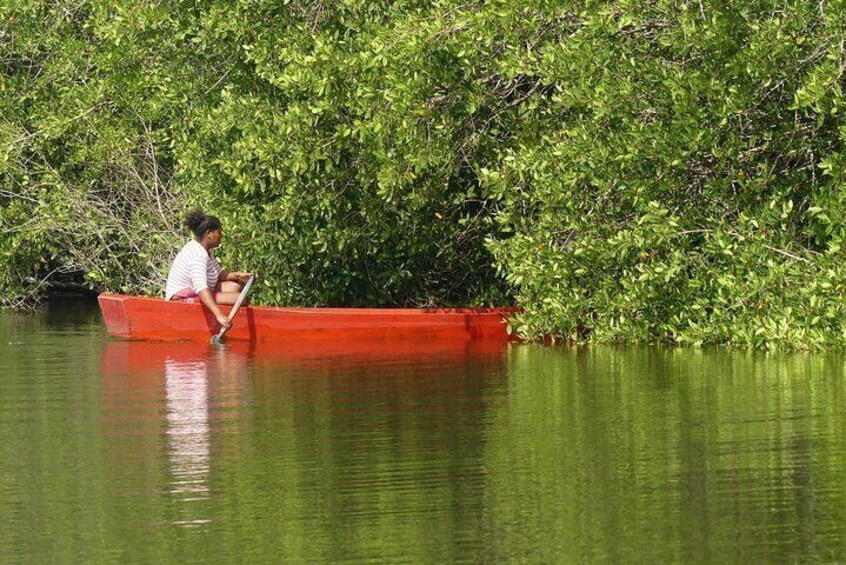 Our adventure in the Lagoon