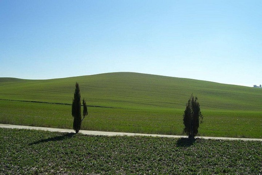 Shore Excursion from Livorno to Chianti area with Wine Tasting & Lunch 5
