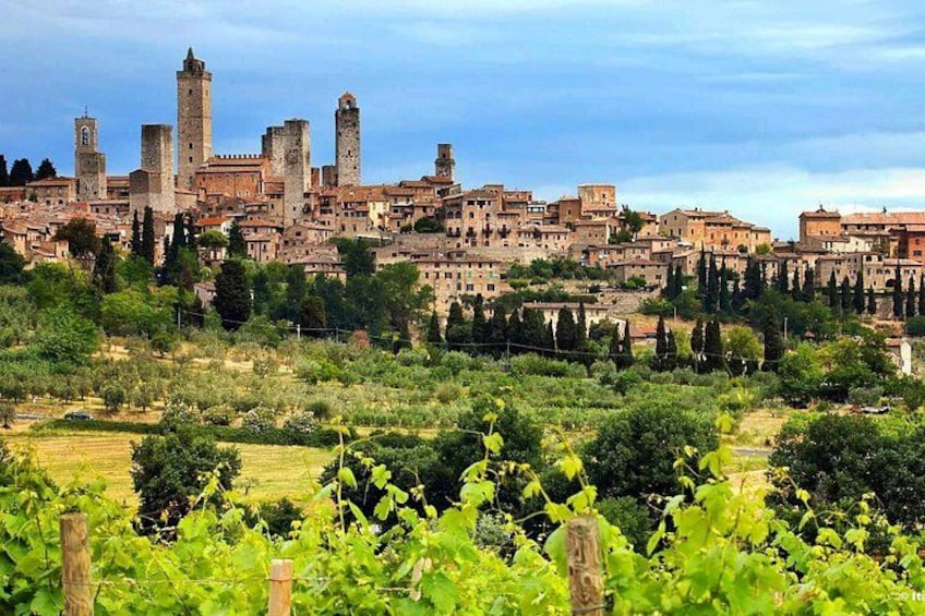 Shore Excursion from Livorno to Chianti area with Wine Tasting & Lunch 4