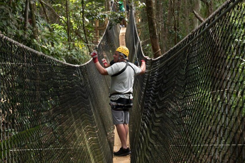 NEW* Net Bridges along w/ 12 Lines! 1