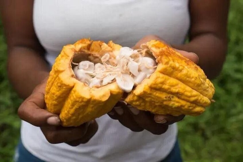 Enjoying the Local Fruits. 4