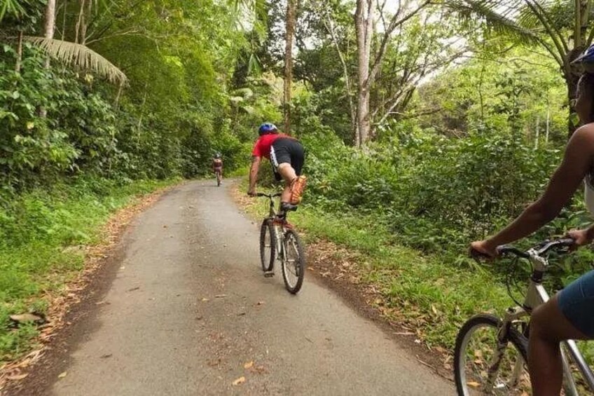 Having Fun On The Trail 5