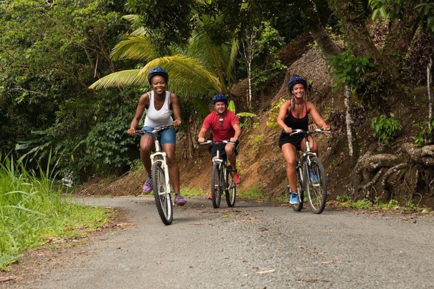 Rainforest Cycling to Waterfall 1