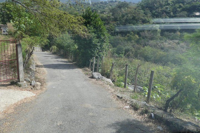 Un camino rural con una reja metálica a la izquierda, rodeado de vegetación y un muro de piedra. 2