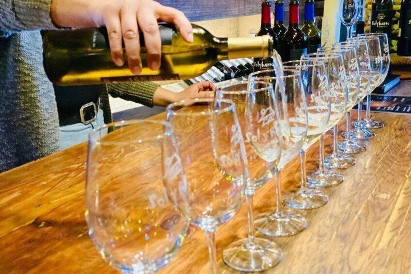 Guadalupe Valley Wine Route Tour in Baja California 3