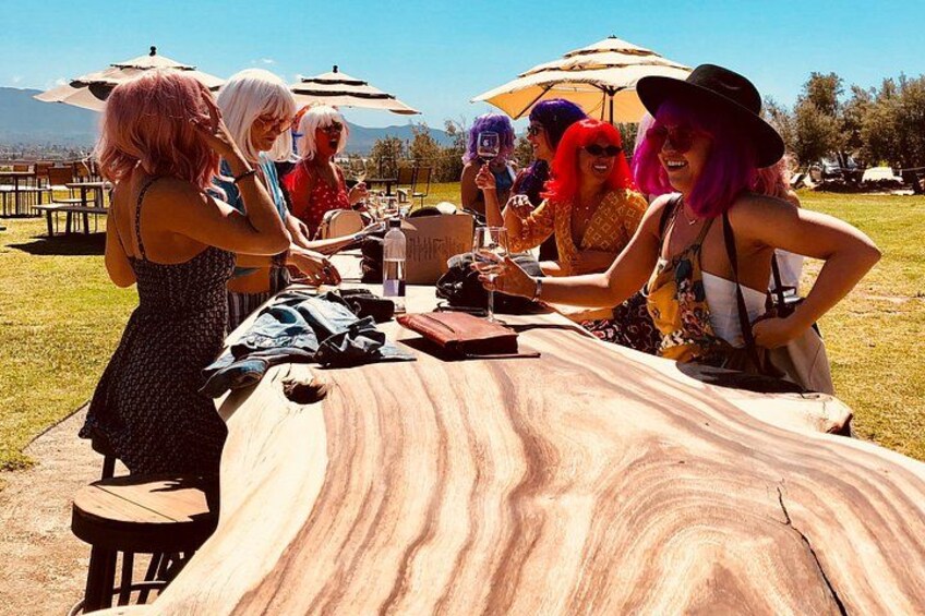 Guadalupe Valley Wine Route Tour in Baja California 5