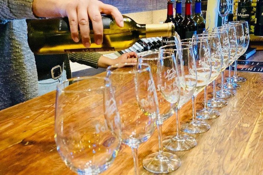 Guadalupe Valley Wine Route Tour in Baja California 3
