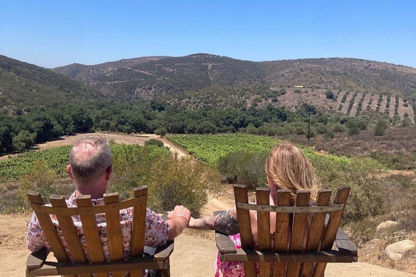 Guadalupe Valley Wine Route Tour in Baja California 4