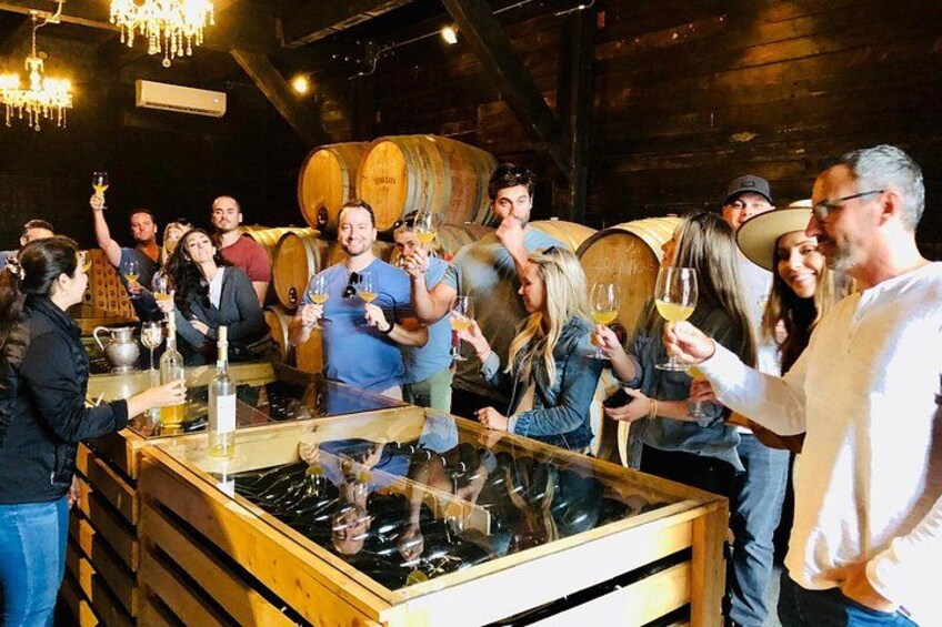 Guadalupe Valley Wine Route Tour in Baja California 4