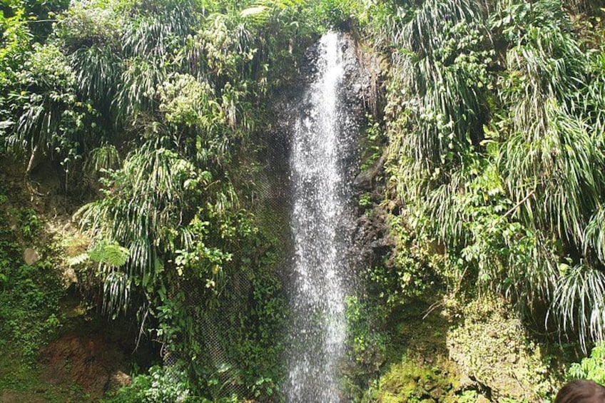 Een waterval omringd door weelderige begroeiing. 1
