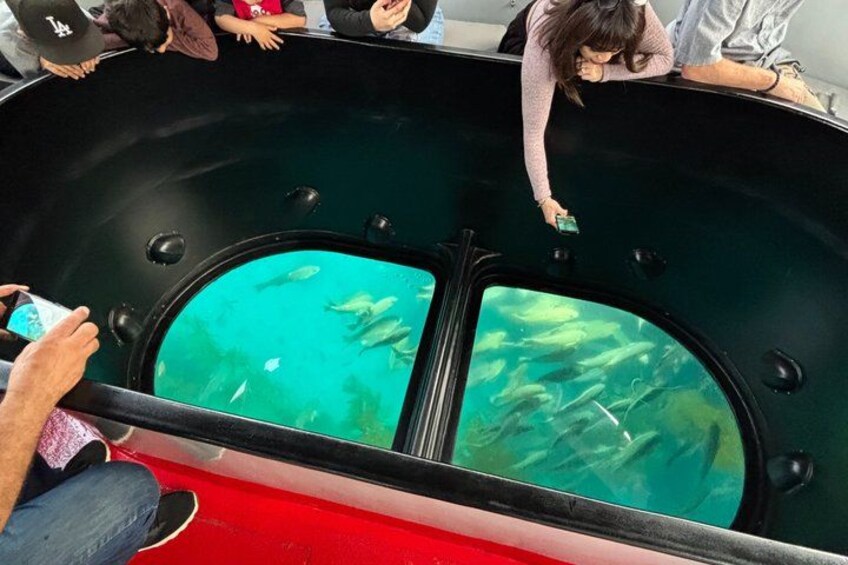 A car with a large aquarium window, people observing fish, and a red car in the foreground. 3