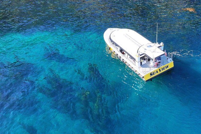 Catalina Island Ultimate Underwater and Coastal Adventure Cruise 5
