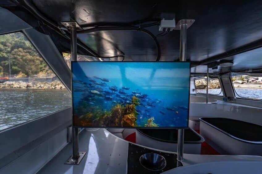 A large screen displaying an underwater scene with fish and coral. 3