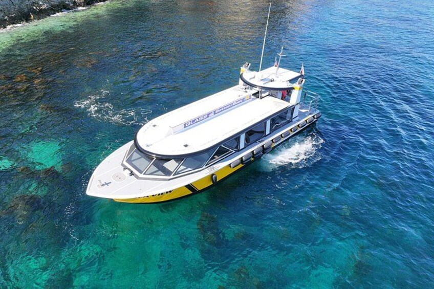 Catalina Island Ultimate Underwater and Coastal Adventure Cruise 4