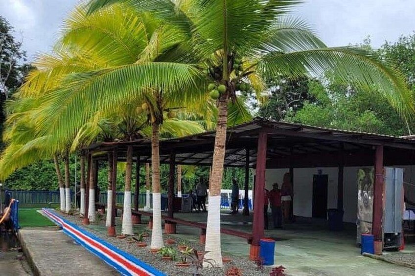 7-in-1 Combo Tour: Tortuguero Canals Shore Excursion 5