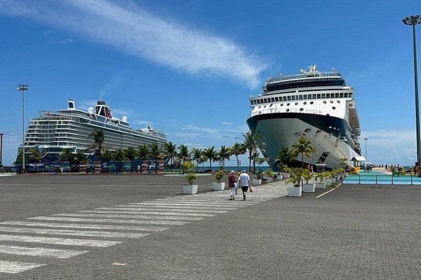 Dos grandes cruceros amarrados en un puerto con un paseo peatonal y palmeras. 3