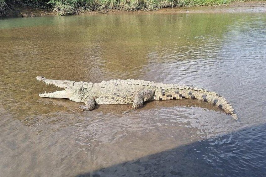 Crocodile Jungle River Safari & Puntarenas Cultural Highlights 2