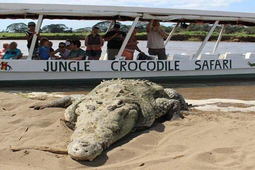 Crocodile Jungle River Safari & Puntarenas Cultural Highlights 3