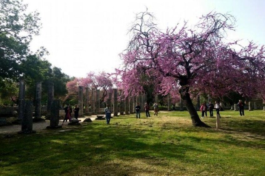 A park with cherry blossom trees, stone lanterns, and people walking. 1