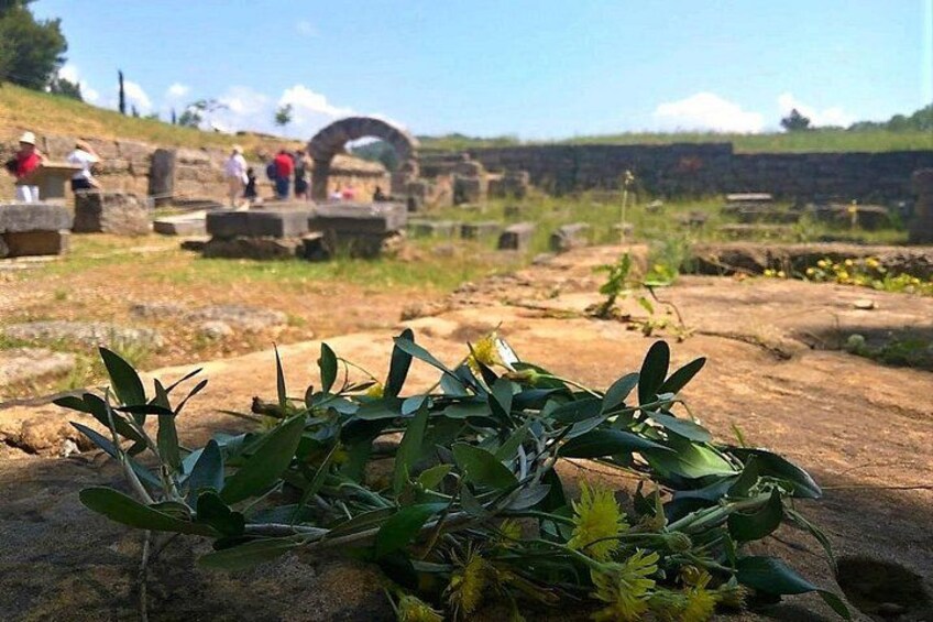 A Day in Ancient Olympia 1