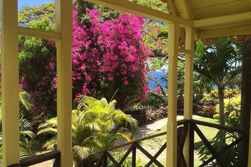 Exotic Island Tour from Basseterre 3