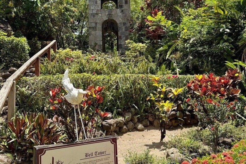 Exotic Island Tour from Basseterre 4