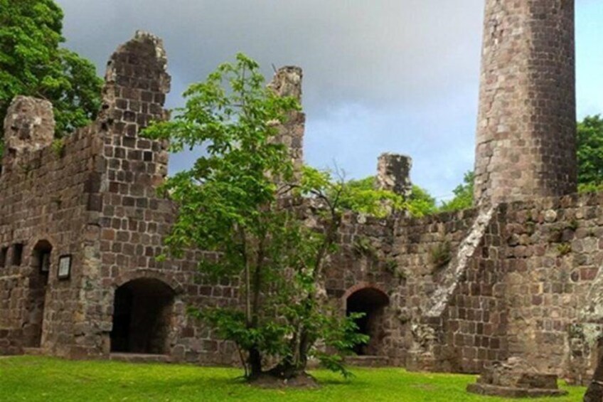  St Kitts Plantation and Beach Tour