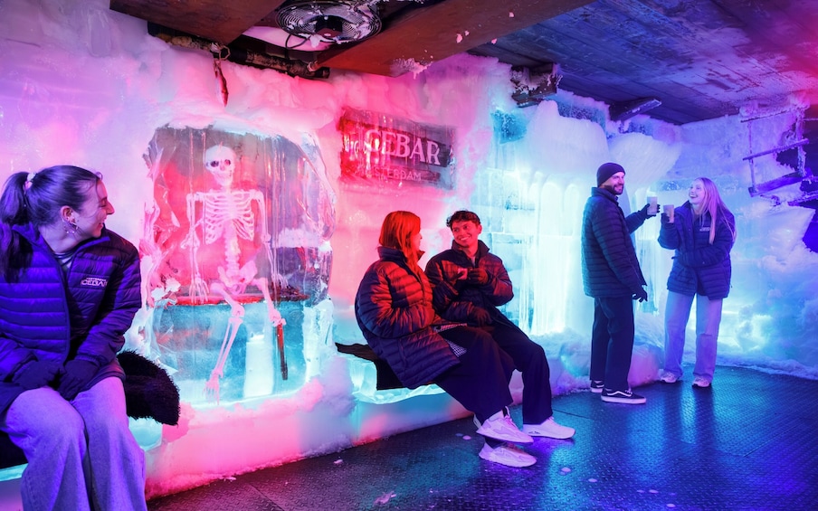 Amsterdam XtraCold Icebar Tickets with Drinks 5
