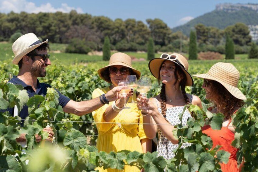 Small Group Marseille Shore Excursion : Avignon & Chateauneuf du Pape Wine Tour 4